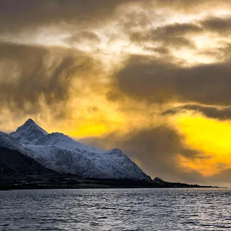 New Luxury Cabin Near Henningsvaer Front Row Lyngvaer Lodges Alpstuga *