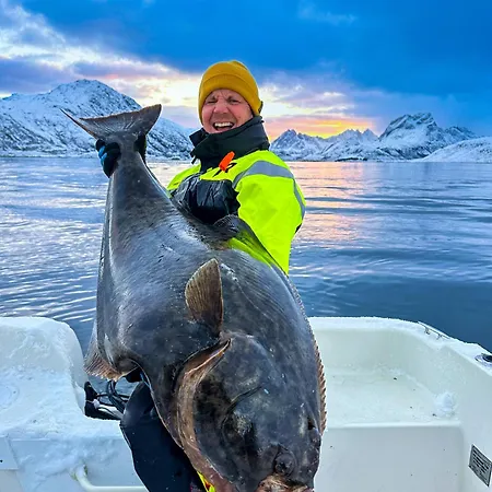 New Luxury Near Henningsvaer Lofoten Chalet Kleppstad
