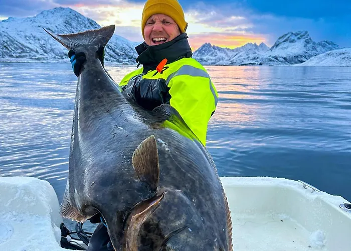 New Luxury Near Henningsvaer Lofoten 샬레 Kleppstad