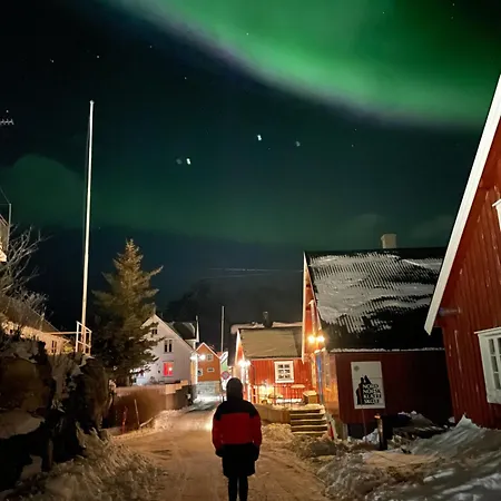 New Luxury Cabin Near Henningsvaer Front Row Lyngvaer Lodges Chalet Kleppstad